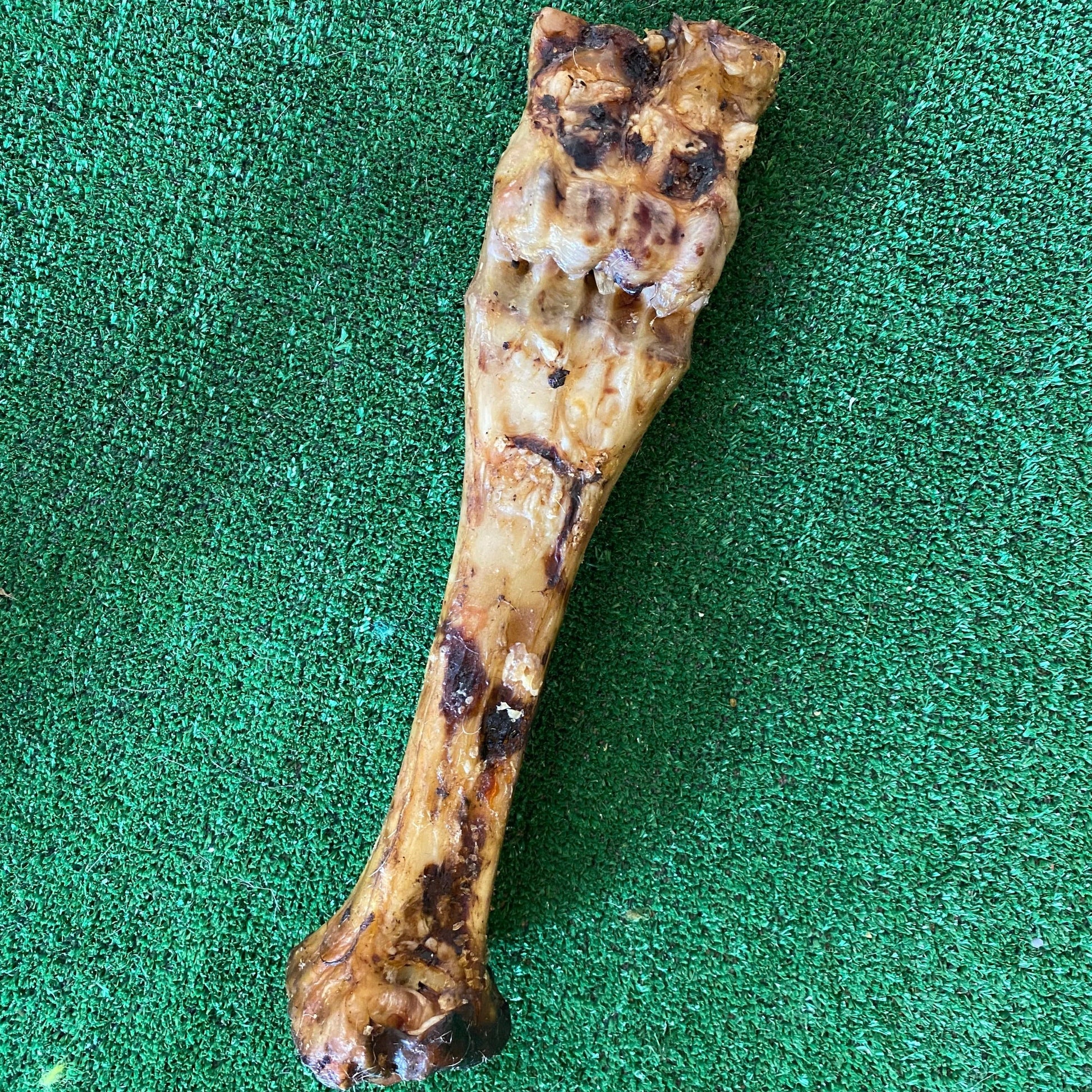 Giant Beef Bone - 100% natural, free from raw hide & any hidden nasties.