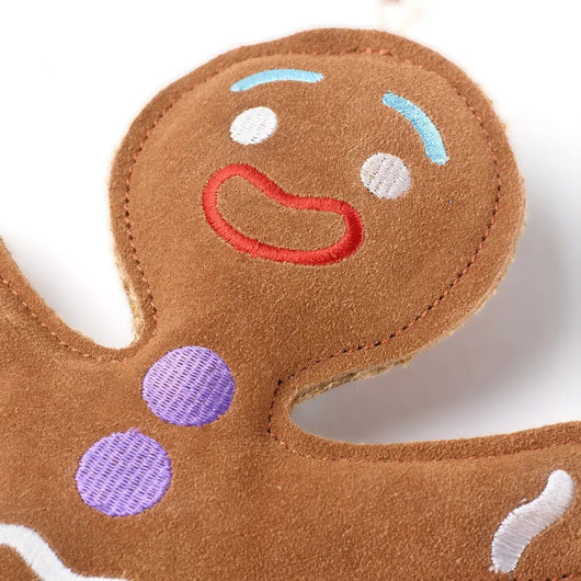 Ginger bread man - Natural Doggy Treats