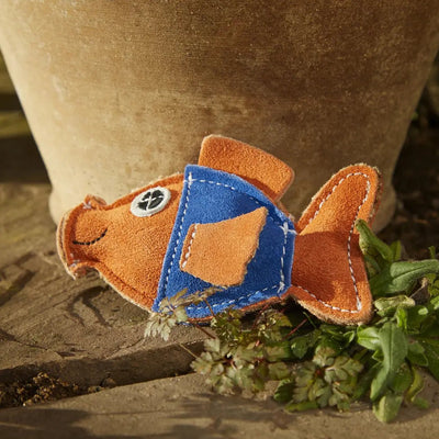Goldie the Goldfish - Natural Doggy Treats
