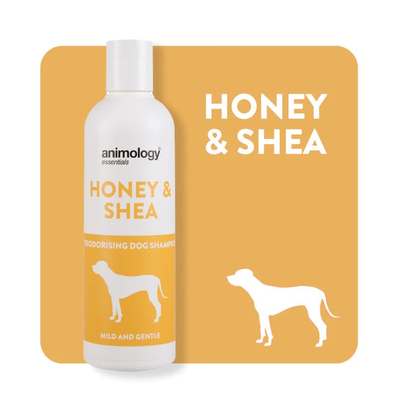 Honey & Shea Shampoo - Natural Doggy Treats
