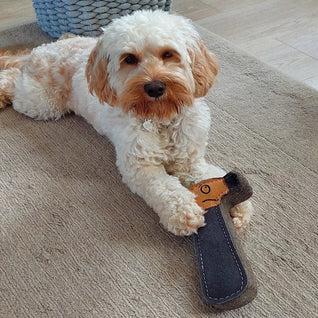Hugo the Hammer