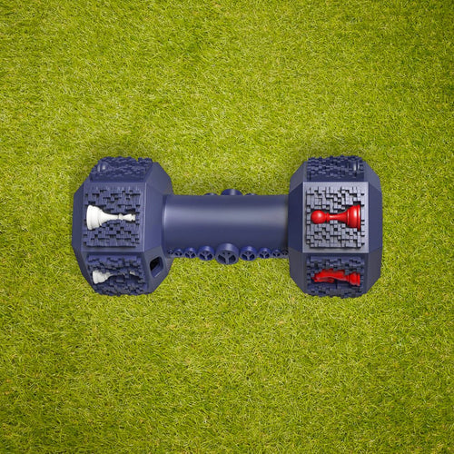 Durable Dumbbell Dog Toy