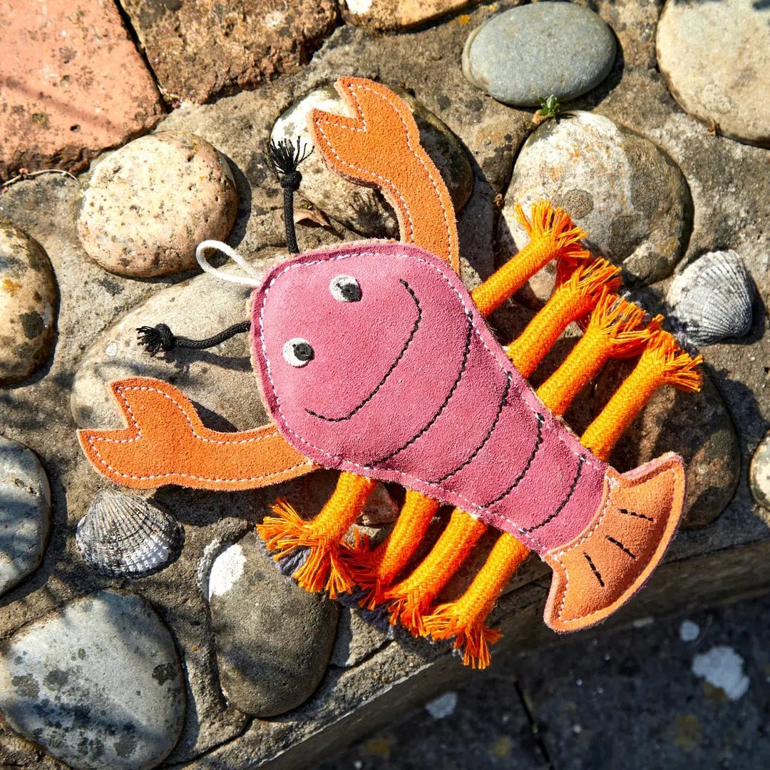 Larry the Lobster - Natural Doggy Treats