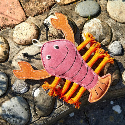 Larry the Lobster - Natural Doggy Treats