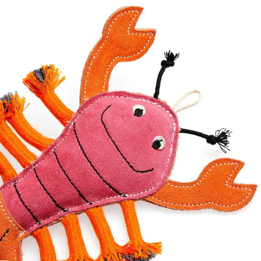 Larry the Lobster - Natural Doggy Treats
