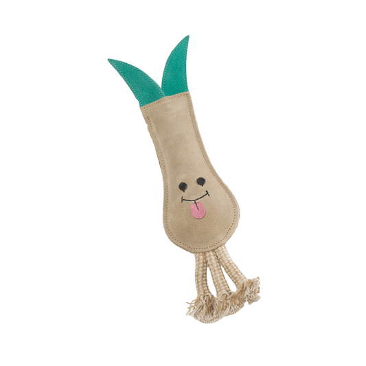 Lenny the Leek - Natural Doggy Treats