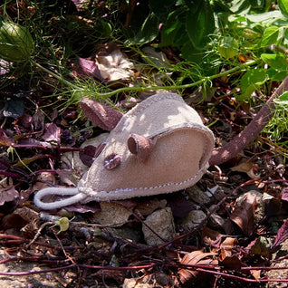 Mike the Mouse