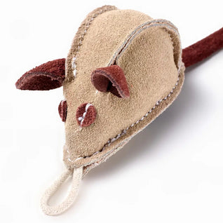 Mike the Mouse