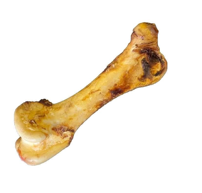Ostrich Dino Bone - 100% natural, free from raw hide & any hidden nasties.