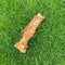 Ostrich Foot - Large