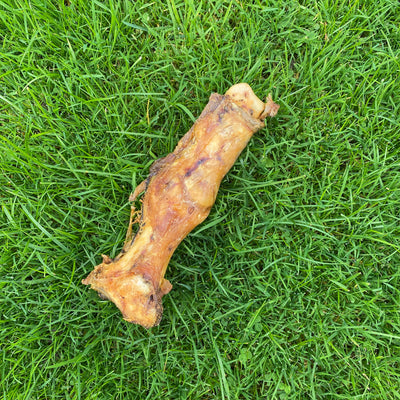 Ostrich Foot - 100% natural, free from raw hide & any hidden nasties.