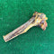 Ostrich Tibia Bone