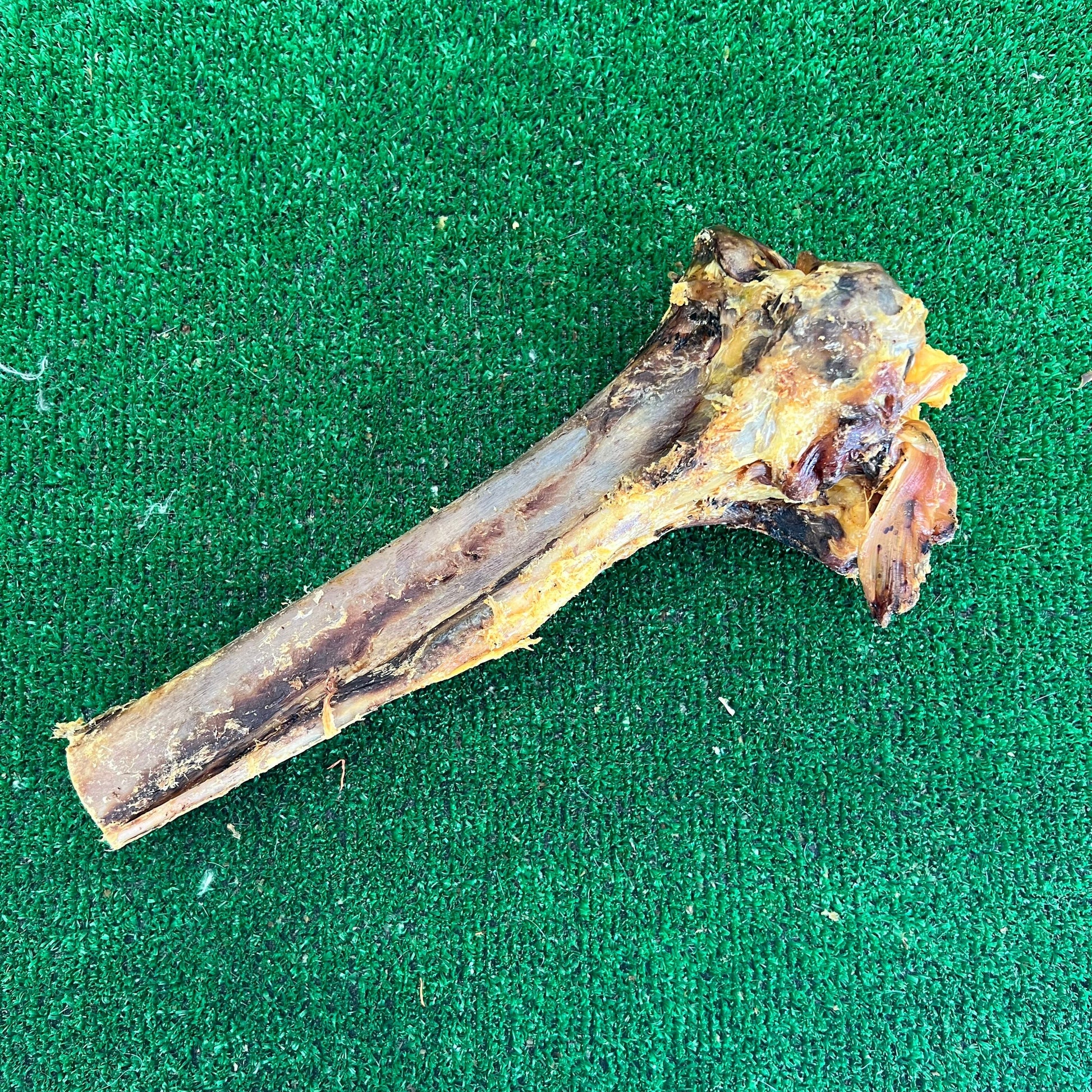 Ostrich Tibia Bone - 100% natural, free from raw hide & any hidden nasties.