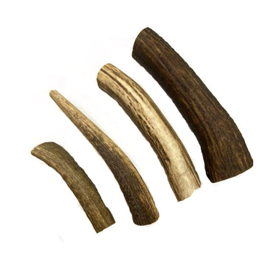 Red Deer Full Antlers - 100% natural, free from raw hide & any hidden nasties.