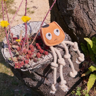 Sid the Squid