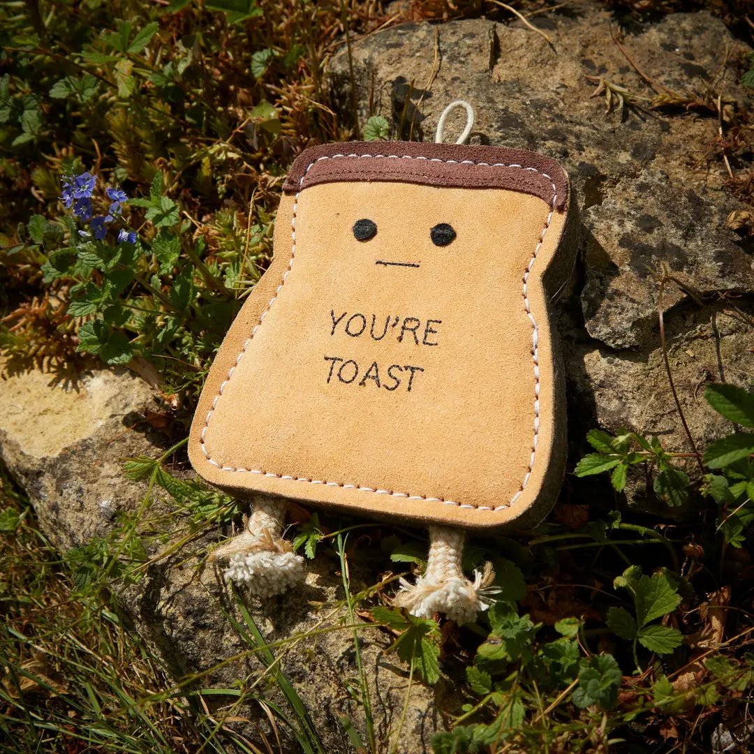 You’re Toast - Natural Doggy Treats